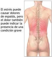 El masaje al pellizco sheynogo del departamento